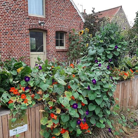 Les Jardins D'Olus Villa Wandignies-Hamage Exteriör bild